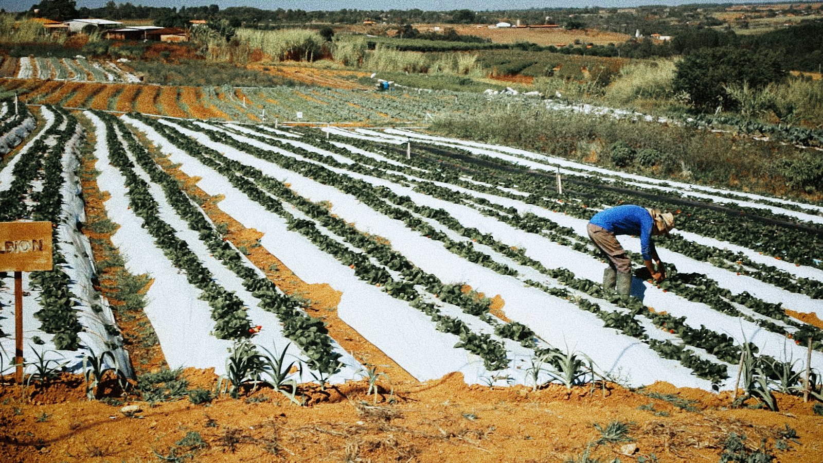 Legacy Doc - Página 2